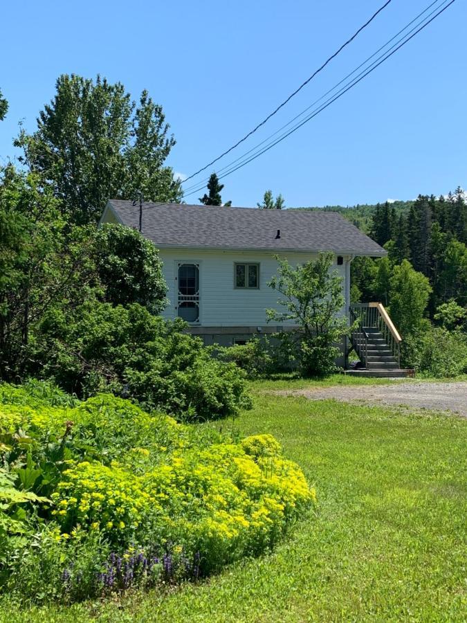 Chalets Les Chanterelles De Forillon L'Anse-au-Griffon Exterior foto
